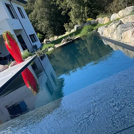 Equipe Avec Cuisine D Ete Et Piscine Privee * Casanova