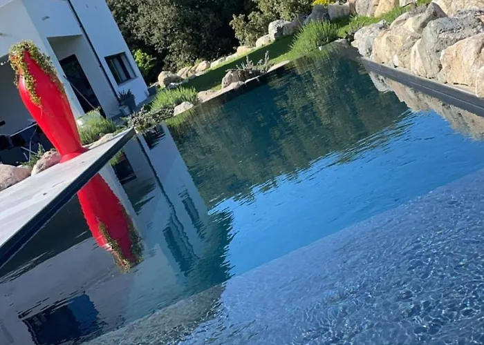 Equipe Avec Cuisine D Ete Et Piscine Privee * Casanova